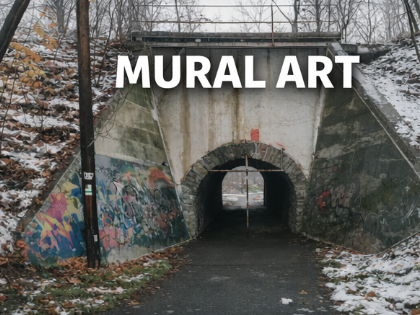 VÝBĚROVÉ ŘÍZENÍ NA DÍLO „MURAL ART VLEČKA MICHÁLKOVICE“